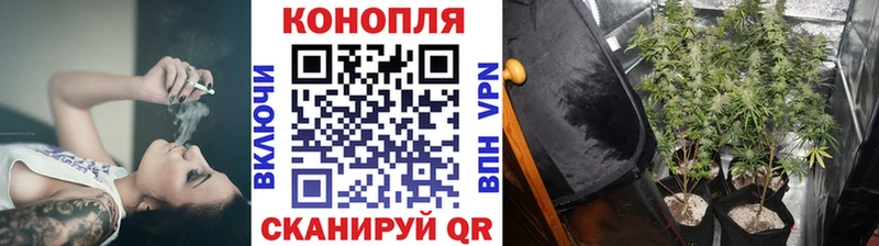 Где купить Ковдор КОКАИН  Мефедрон  Alpha-PVP  АМФ  ГАШИШ 